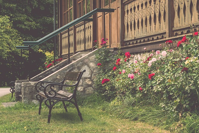 他们的表现 他们的表现