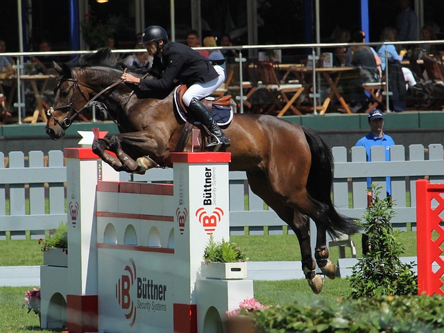 德國足球新 德國足球新