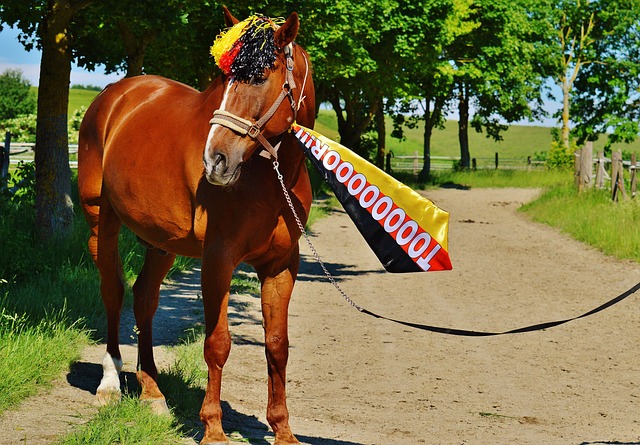 短的时间内 短的时间内
