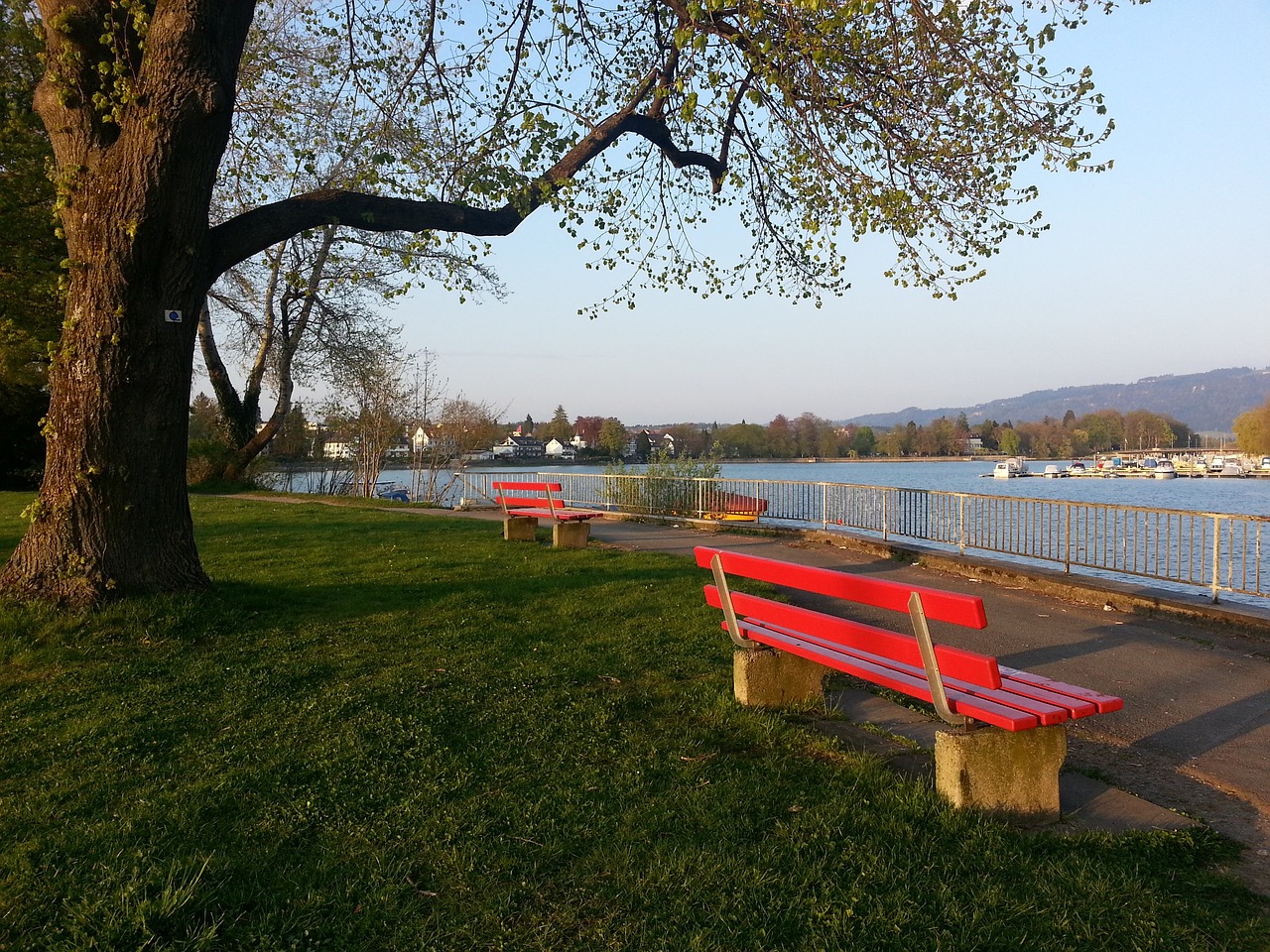 力撕开广厦 力撕开广厦